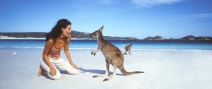 Kangaroo on Lucky Bay