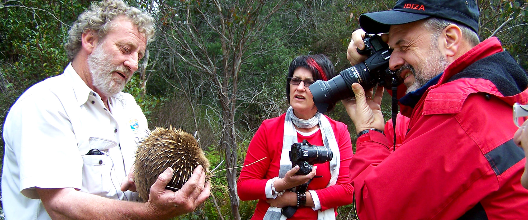 Bushy with an Echidna